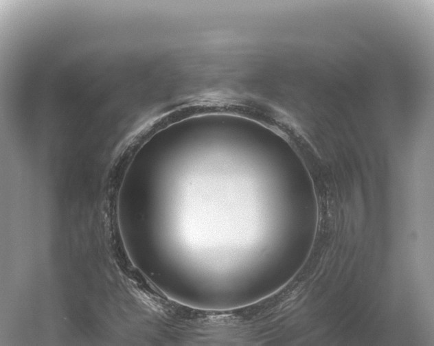 X0000054391304200508051637