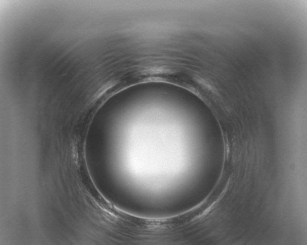 X0000054391305200508051637