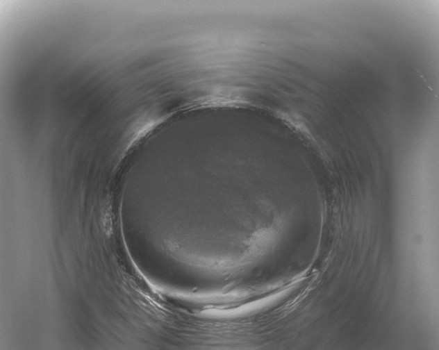 X0000054391306200508051637