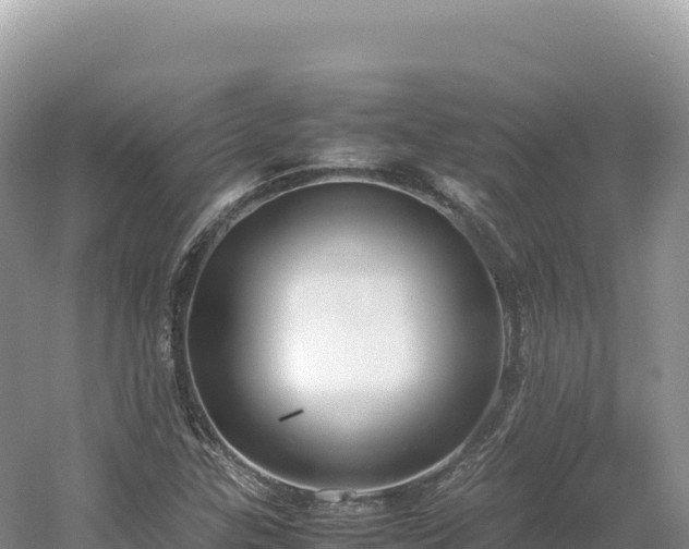 X0000054391307200508051637