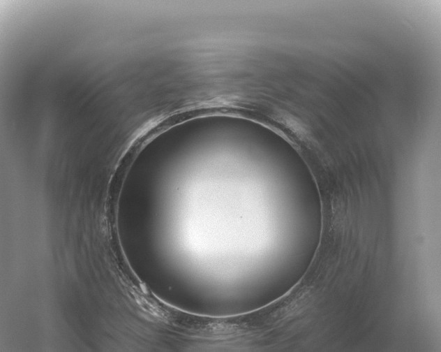 X0000054391308200508051637