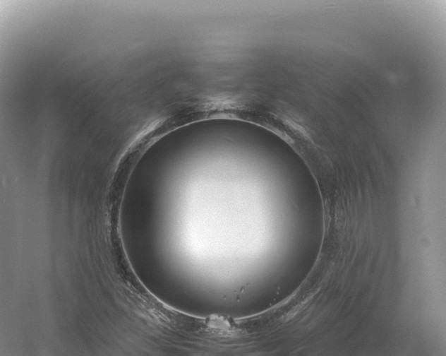 X0000054391309200508051637