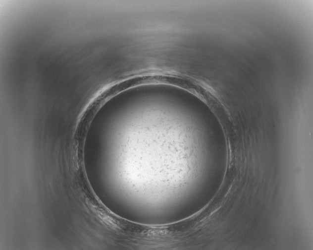 X0000054391310200508051637