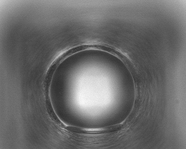 X0000054391311200508051637