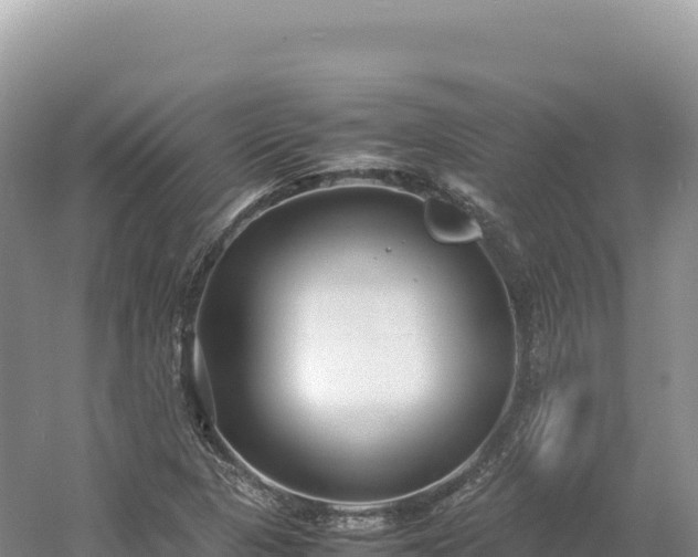 X0000054391313200508051637