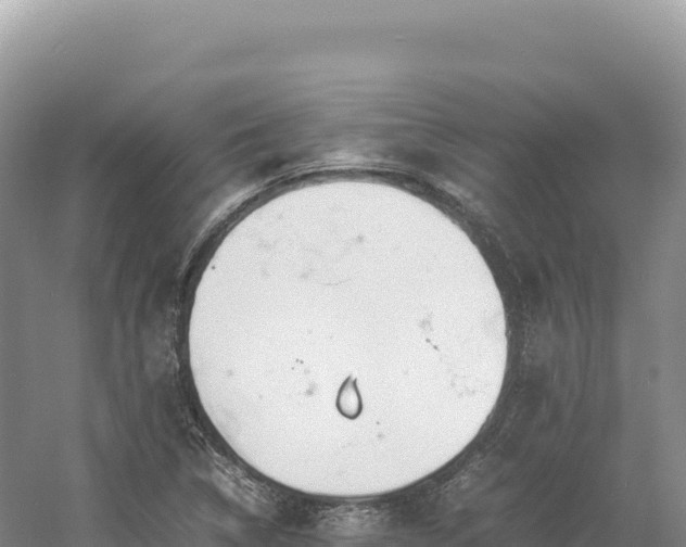 X0000054391314200508051637