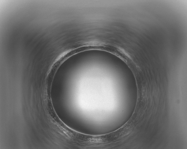 X0000054391315200508051637