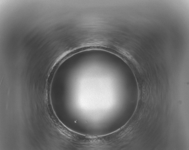 X0000054391316200508051637