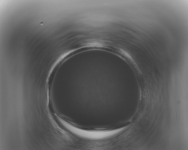 X0000054391323200508051637