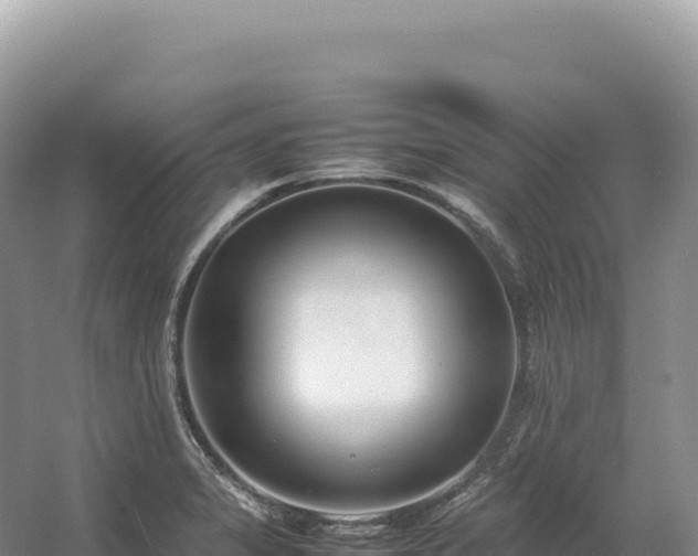 X0000054391325200508051637