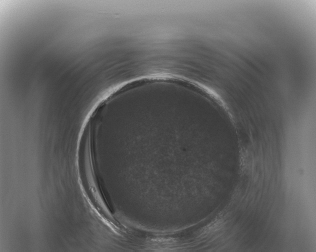 X0000054391327200508051637