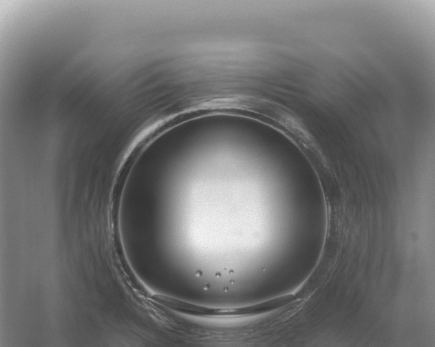 X0000054391328200508051637