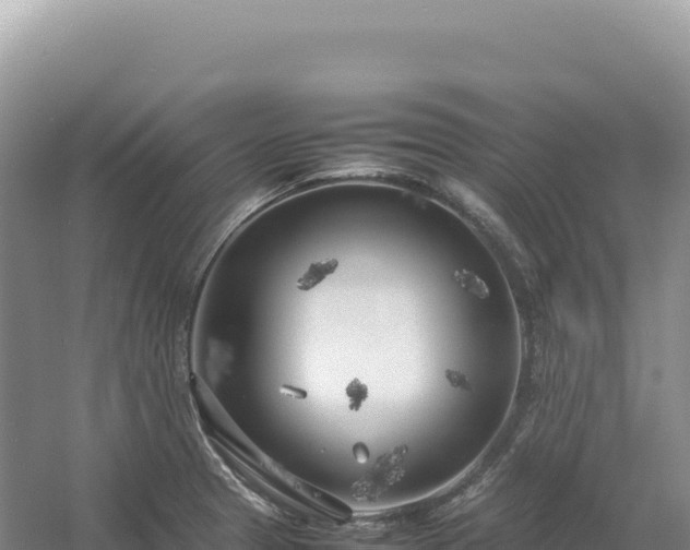 X0000054391329200508051637