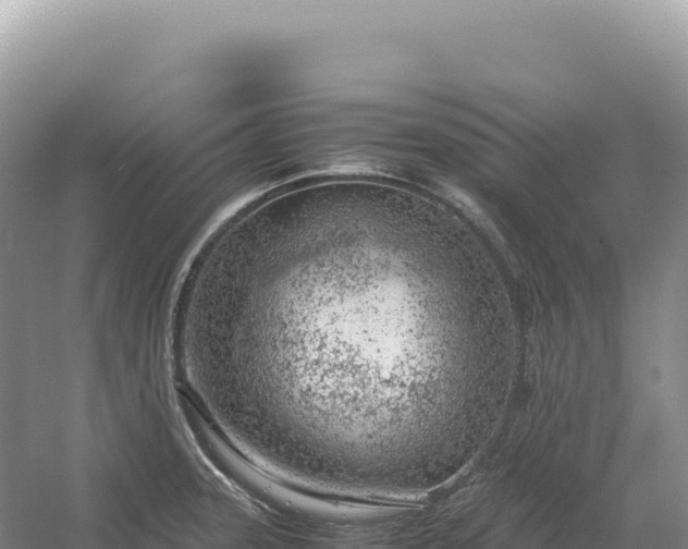 X0000054391331200508051637