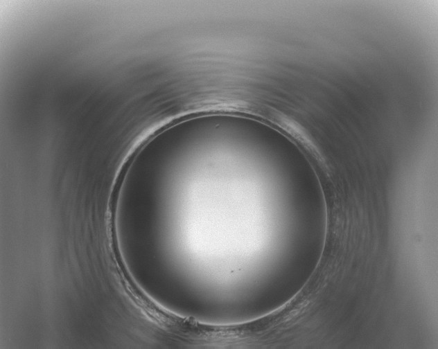 X0000054391332200508051637