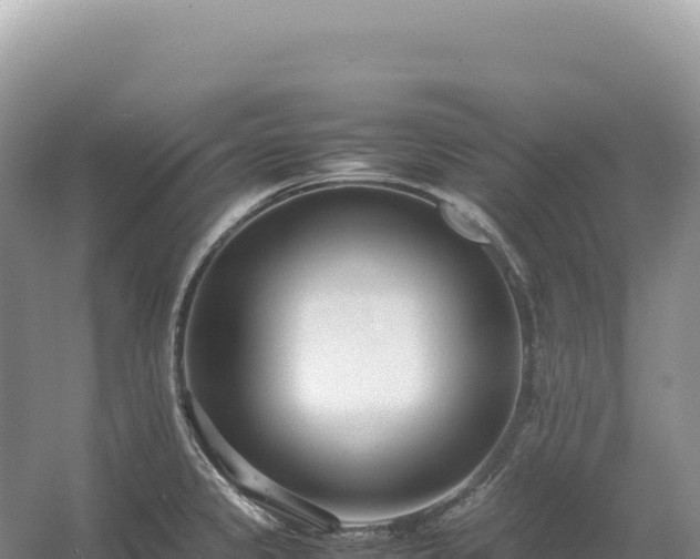 X0000054391333200508051637