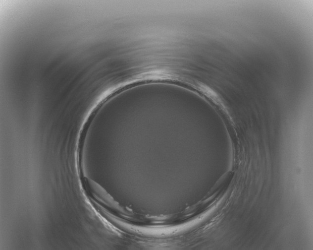 X0000054391334200508051637