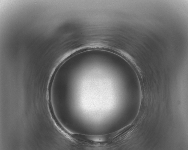 X0000054391335200508051637