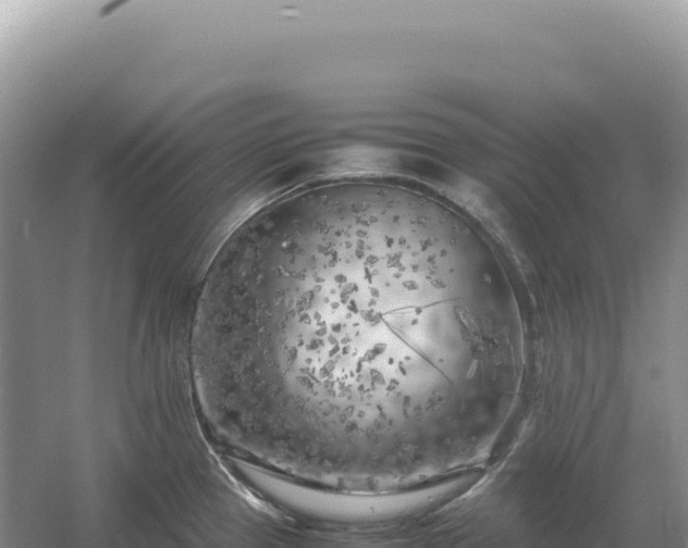 X0000054391337200508051637