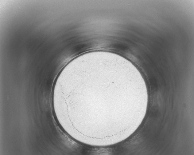 X0000054391338200508051637