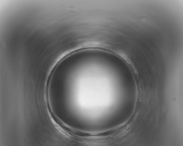 X0000054391342200508051637