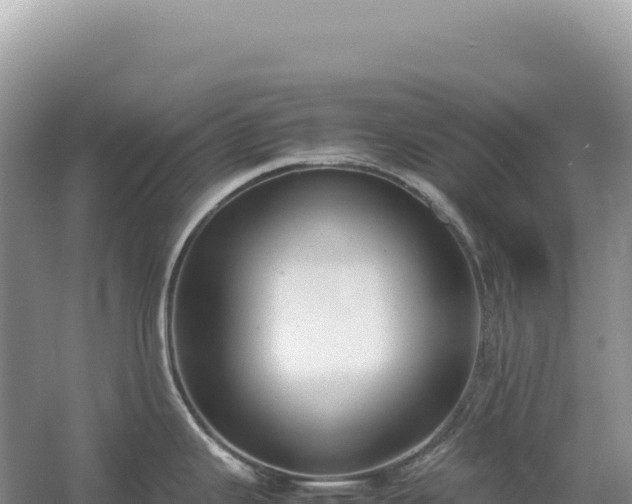 X0000054391343200508051637