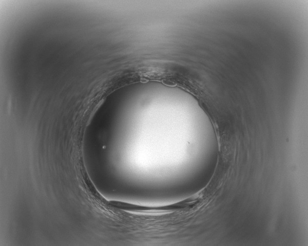 X0000054391345200508051637