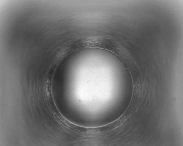 X0000054391346200508051637