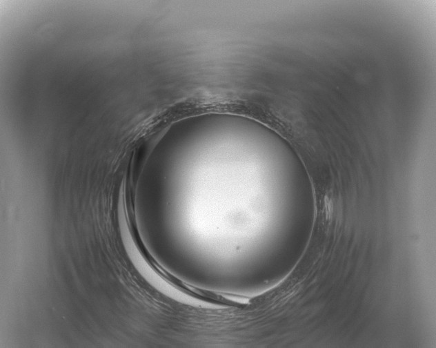 X0000054391348200508051637