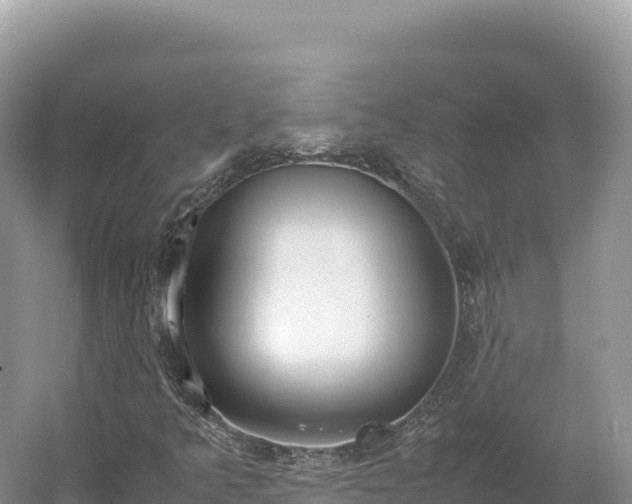 X0000054391349200508051637