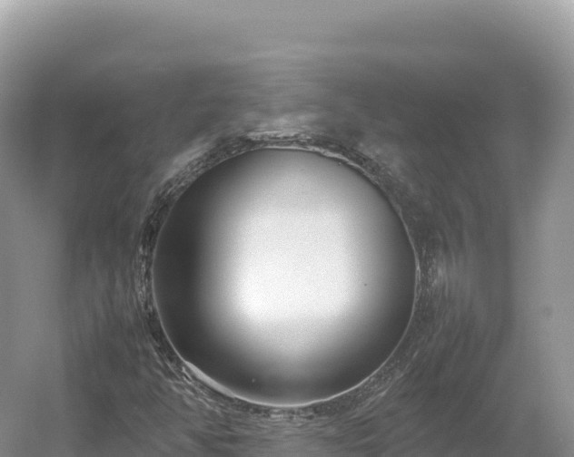 X0000054391350200508051637