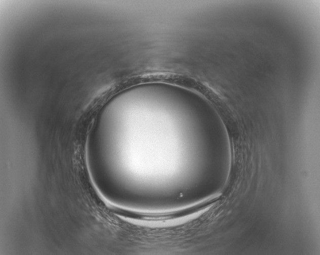 X0000054391351200508051637