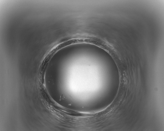 X0000054391352200508051637