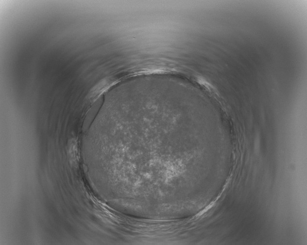 X0000054391353200508051637