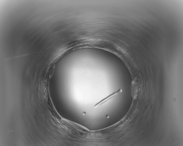 X0000054391354200508051636