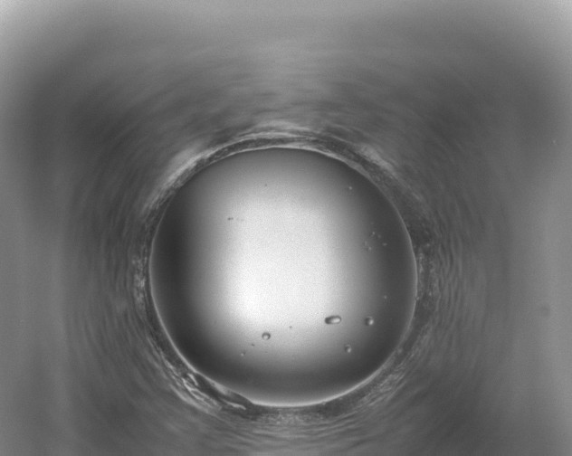 X0000054391355200508051636