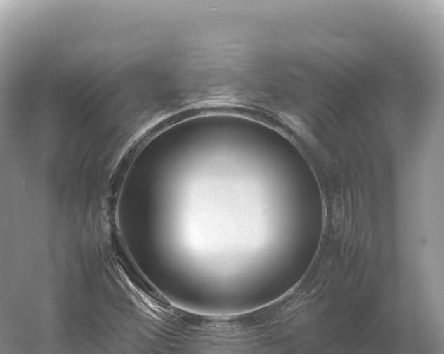 X0000054391356200508051636