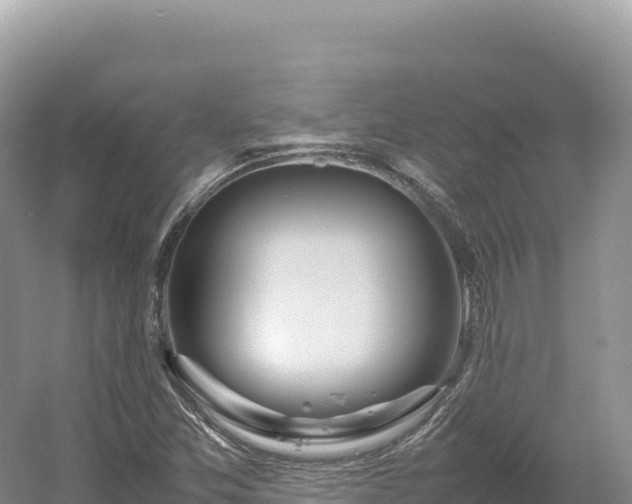 X0000054391357200508051636