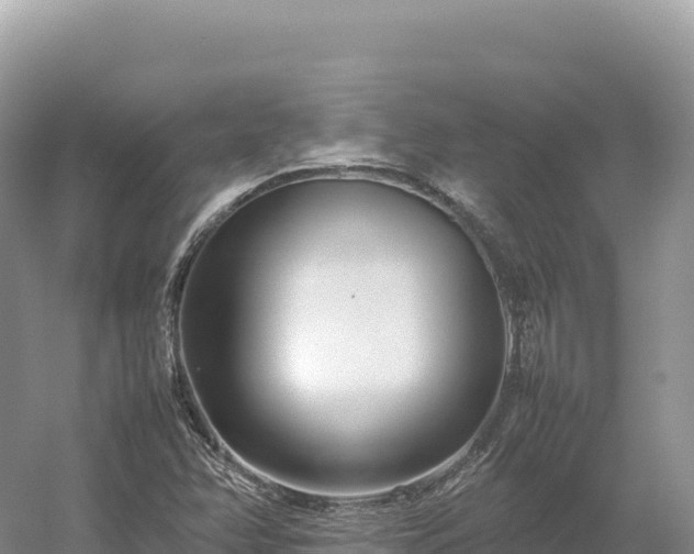 X0000054391358200508051636