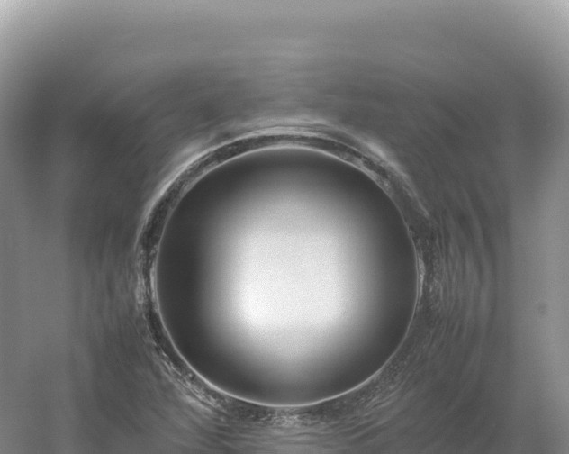 X0000054391360200508051636