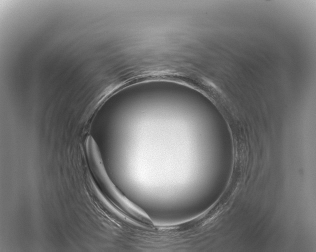 X0000054391361200508051636