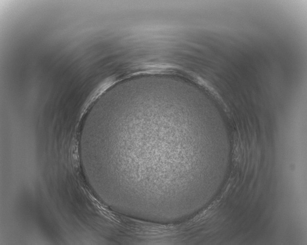 X0000054391362200508051636