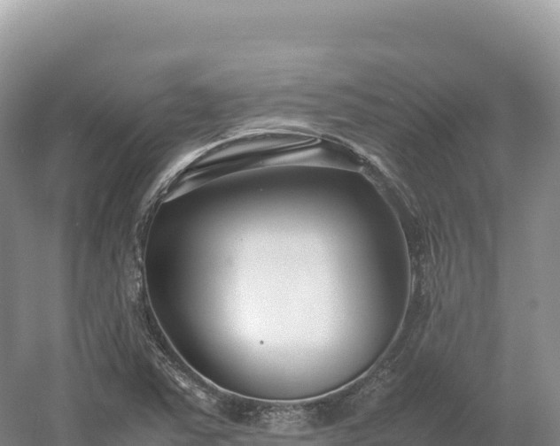 X0000054391363200508051636