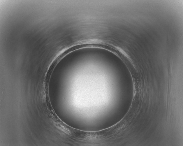 X0000054391364200508051636