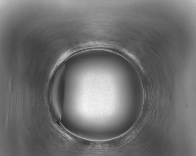 X0000054391365200508051636