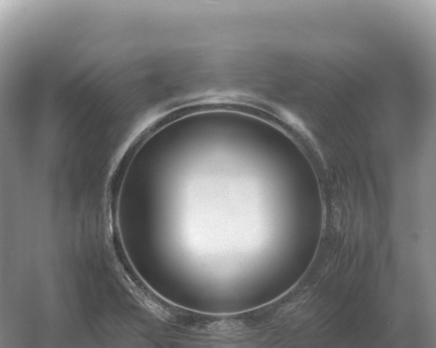 X0000054391368200508051636