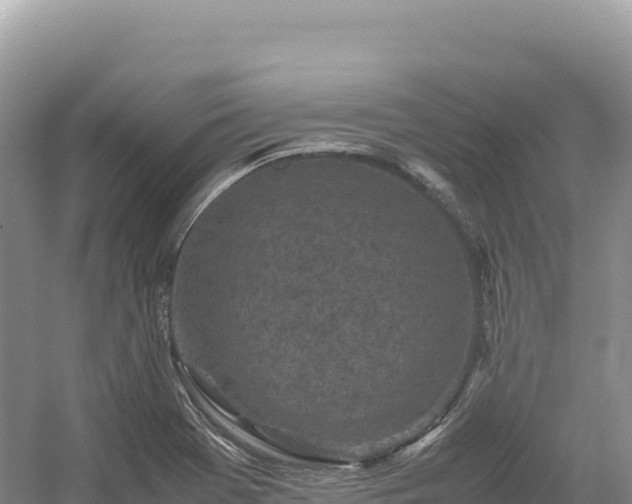 X0000054391369200508051636