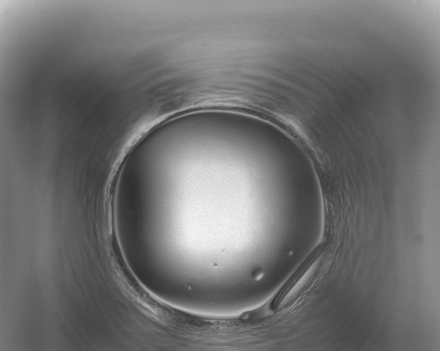 X0000054391371200508051636