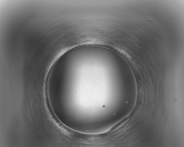 X0000054391375200508051636