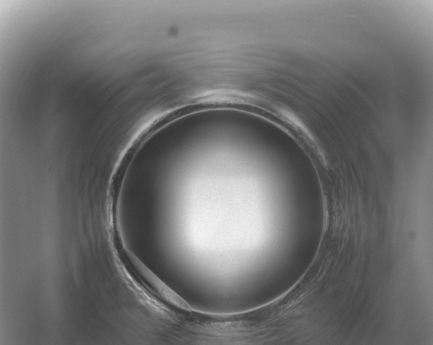 X0000054391376200508051636